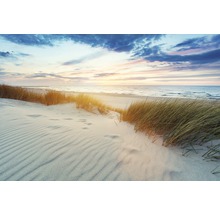 Fototapete Vlies 221100 Grassy Dunes at Sunset 10-tlg. 500 x 280 cm