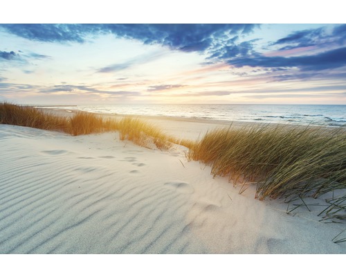 Fototapete Vlies 181100 Grassy Dunes at Sunset 7-tlg. 350 x 260 cm Strandlandschaft mit Sand, Gras und Meerblick
