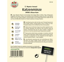 Katzenminze Blauer Kater Sperli Blumensamen