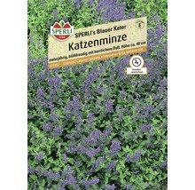 Katzenminze Blauer Kater Sperli Blumensamen