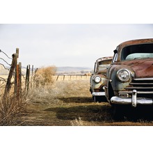 Fototapete Vlies 18434 Vintage Rusting Cars 7-tlg. 350 x 260 cm