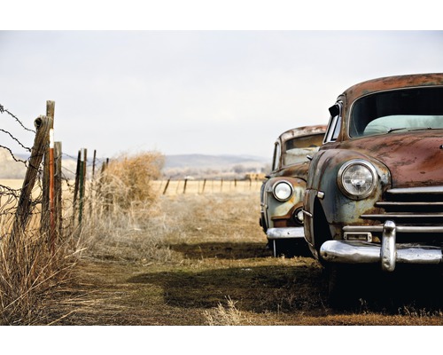 Fototapete Vlies 22434 Vintage Rusting Cars 10-tlg. 500 x 280 cm