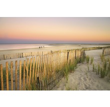 Fototapete Vlies 22444 Dunes Cape Cod 10-tlg. 500 x 280 cm