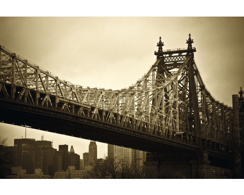 Fototapete Vlies 21455 New York Bridge 8-tlg. 400 x 260 cm