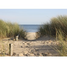 Fototapete Vlies 22460 Dunes in Dorset 10-tlg. 500 x 280 cm
