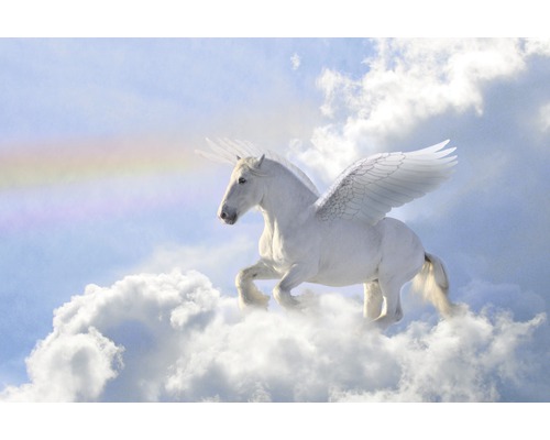 Fototapete Vlies 22493 Pegasus in the Clouds 10-tlg. 500 x 280 cm