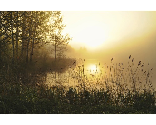 Fototapete Vlies 22523 Stunning Foggy Landscape 10-tlg. 500 x 280 cm