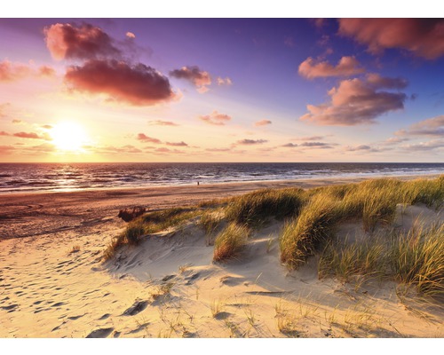 Fototapete Vlies 18525 Dunes Sunset Purple Cloud 7-tlg. 350 x 260 cm Strandlandschaft mit Düne und Sonnenuntergang