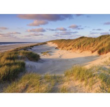Dünenlandschaft mit Strandhafer am Meer