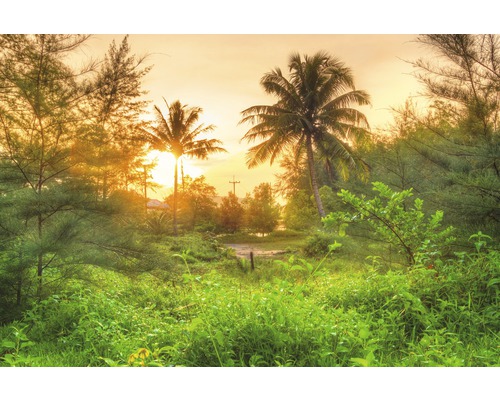 Fototapete Vlies 21571 Amazing Jungle Sunrise 8-tlg. 400 x 260 cm