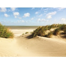 Fototapete Vlies 21614 Dunes Knokke-Heist 8-tlg. 400 x 260 cm
