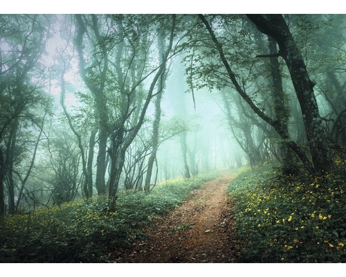 Fototapete Vlies 18657 Misty Forest in Fog 7-tlg. 350 x 260 cm