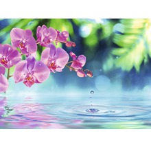 Nahaufnahme einer rosa Orchideenblüte mit Wassertropfen