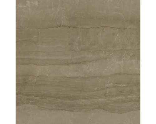 Nahaufnahme einer Bodenfliese mit Marmoroptik.