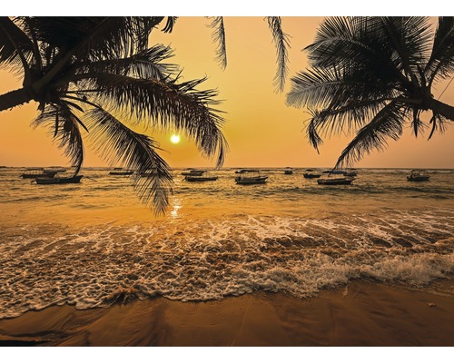 Fototapete Vlies 22692 Sri Lanka Palm Beach 10-tlg. 500 x 280 cm