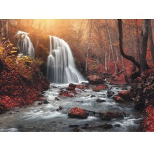Wasserfall im Wald mit Herbstlaub