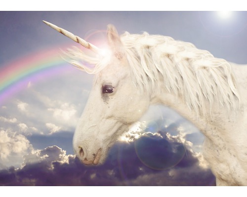 Fototapete Vlies 21773 Unicorn Rainbow 8-tlg. 400 x 260 cm