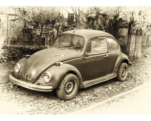 Fototapete Vlies 21821 Beetle Retro Car 8-tlg. 400 x 260 cm