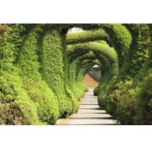 Gartenweg mit geschnittenen Heckenbögen