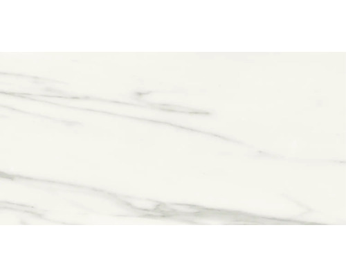 Feinsteinzeug Wand- und Bodenfliese Macael 60 x 120 x 0,9 cm white poliert grau-0