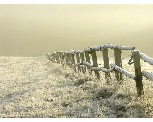 Fototapete Vlies 22903 Fence in Misty Field 10-tlg. 500 x 280 cm