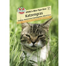 Katzengras Mini-Tiger-Gras Sperli Samen-thumb-0