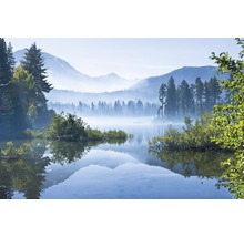 Morgenstimmung an einem See mit Bäumen und Bergen im Hintergrund