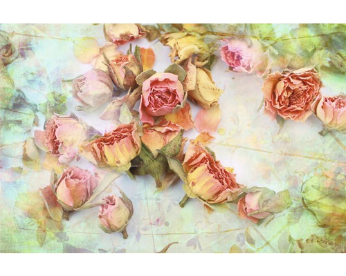 Fototapete Vlies 18945 Vintage Roses 7-tlg. 350 x 260 cm