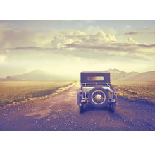 Fototapete Vlies 21948 Vintage Car in Desert 8-tlg. 400 x 260 cm