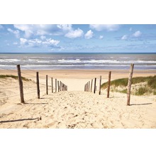 Sandweg zum Strand mit Holzzaun