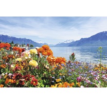 Blumenbeet mit Seeblick und Bergpanorama