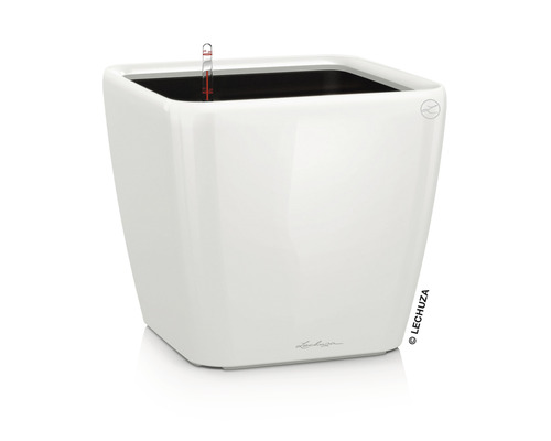 Pflanzkübel Lechuza Quadro LS 50 Komplettset H 47 cm weiß Vierckiger Pflanzkasten mit Bewässerungssystem