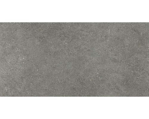 Feinsteinzeug Wand- und Bodenfliese Alpen grau60 x 120 cm Rektifiziert