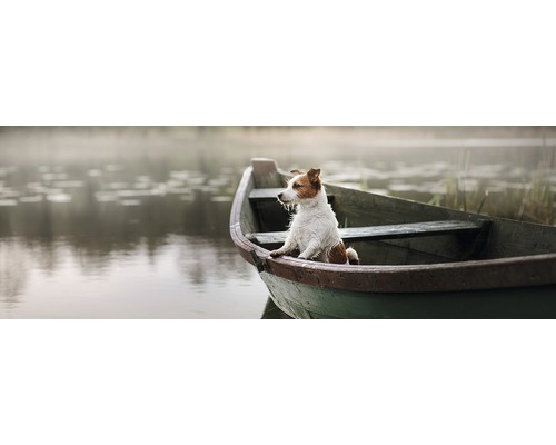 Decopanel Dog in Boat 48x138 cm