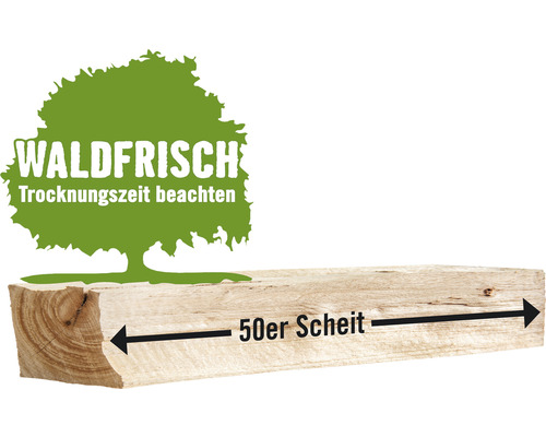 Kaminholz Brennholz HORNBACH FORST Buche, Eiche, Esche, Robinie lose 1 Schüttraummeter ca. 48-50 cm, waldfrisch-0