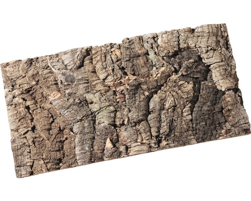 Korkplatte mit natürlicher Baumrindenstruktur