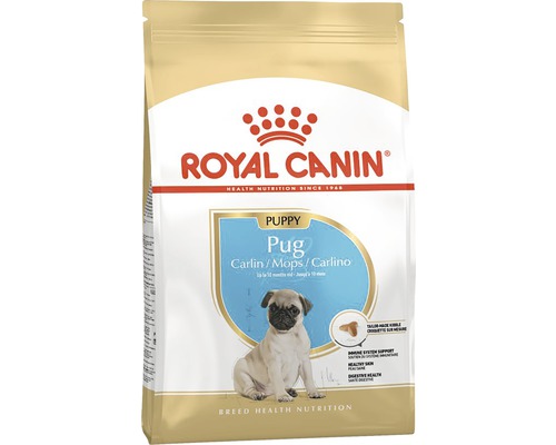 Hundefutter trocken ROYAL CANIN Pug Puppy Welpenfutter trocken für Mops 1,5 kg