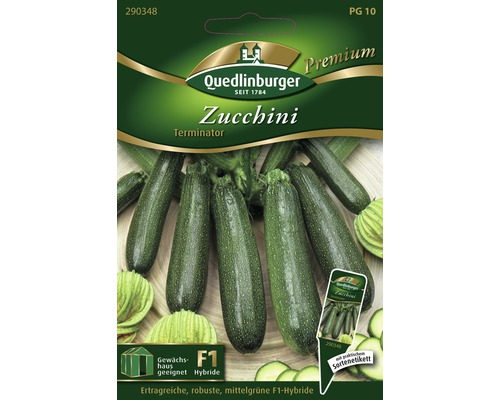 Zucchini Terminator Quedlinburger Hybrid-Saatgut Gemüsesamen, mittelgrüne Farbe
