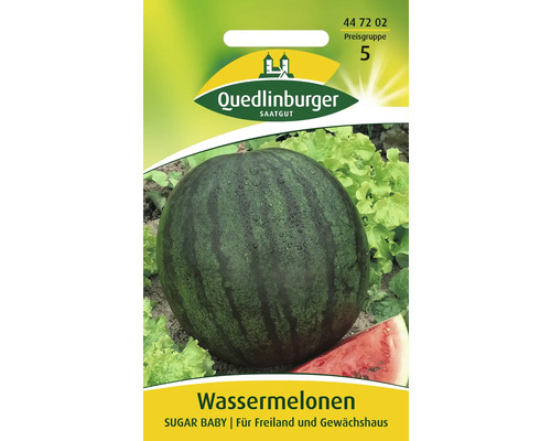 Wassermelone 'Sugar Baby' Quedlinburger