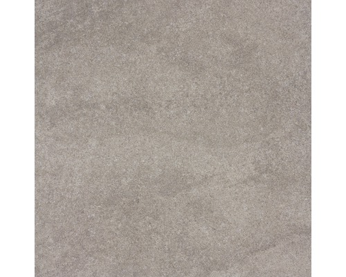 Wand- und Bodenfliese Udine Beige-Grau unglasiert 60 x 60 cm