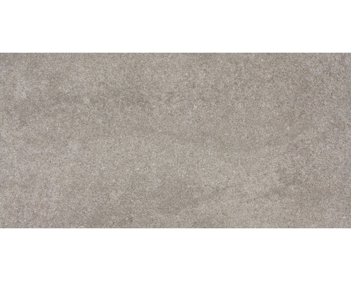 Wand- und Bodenfliese Udine Beige-Grau unglasiert 30 x 60 cm