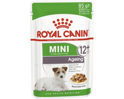 Royal Canin Mini Ageing Hundefutter für kleine Hunde ab 12 Jahren