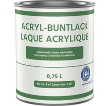 Acryl-Buntlack seidenmatt tiefschwarz 750 ml-thumb-1