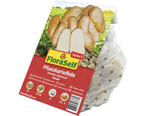 FloraSelf Pflanzkartoffeln Mandel im perforierten Beutel