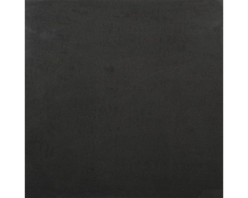 Feinsteinzeug Wand- und Bodenfliese Celine graphit poliert 60 x 60 cm
