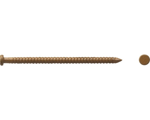 Paneelstift (Colorstift) 1,6x40 mm, mittelbarun, 80 Stück Holzschraube mit Linsenkopf