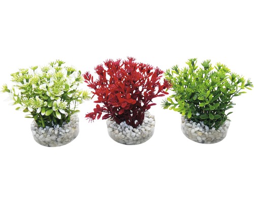 Sydeco Kunststoffpflanze Nano Flowering Bush 10 cm zufällige Sortenauswahl