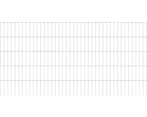 Doppelstabmatte ALBERTS 6/5/6 200 x 100 cm feuerverzinkt