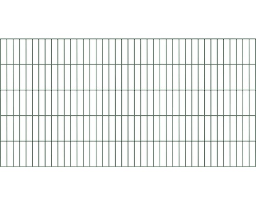 Doppelstabmatte ALBERTS 6/5/6 200 x 160 cm grün Doppelstabmatte ALBERTS 6/5/6 200 x 160 cm grün
