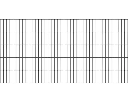 Doppelstabmatte ALBERTS 6/5/6 200 x 100 cm anthrazit